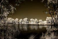 IMG_4785_Optimizer