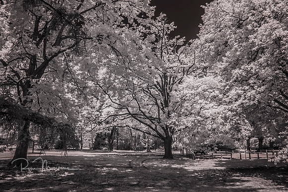 2015-10-19-095605