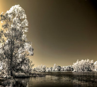 IMG_4781_Optimizer_stitch