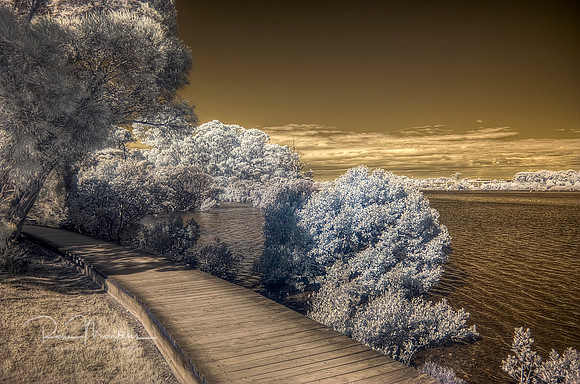 2016-09-19-109761_2_3_tonemapped