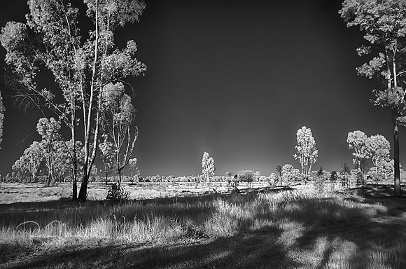 2017-09-28-115582_HDR