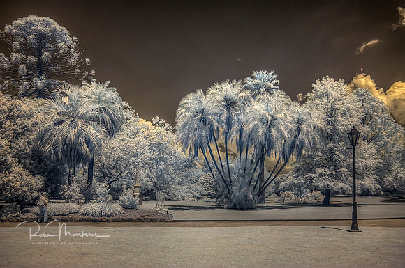 2016-11-12-110981_2_3_tonemapped
