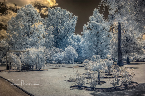 2016-11-12-110999_1000_1001_tonemapped