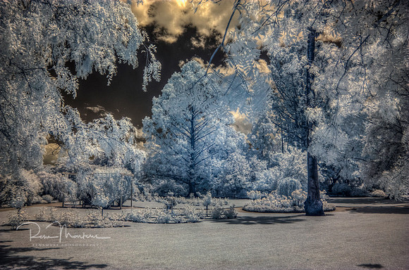 2016-11-12-111002_3_4_tonemapped