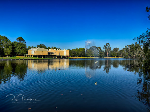IMG_1410