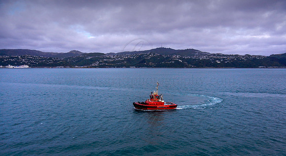 DSCN0658