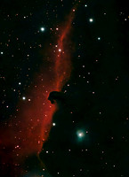 Horses Head 04012025