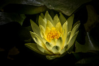 2026_01_11_3291