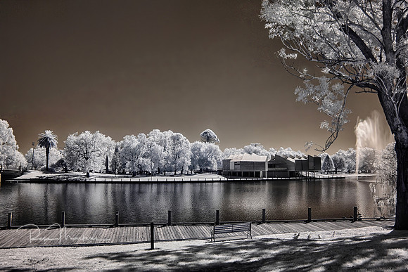 2025_01_01_00000937_HDR