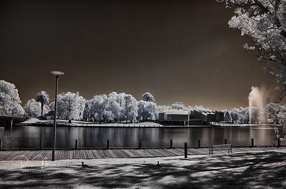 2025_01_01_00000931_HDR