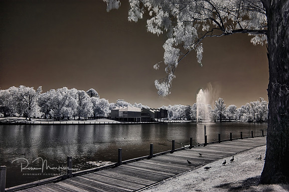 2025_01_01_00000928_HDR