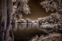 2025_01_01_00000910_HDR