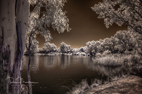 2025_01_01_00000910_HDR