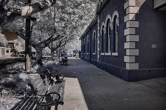 2025_01_01_00000919_HDR
