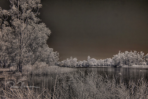 2025_01_01_00000907_HDR
