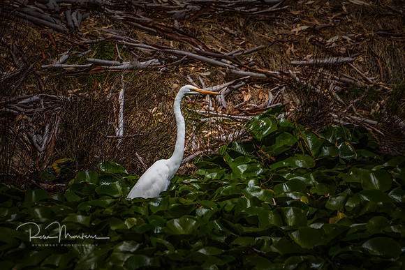 2026_02_18_5995