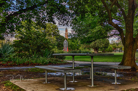2026_02_24_6102_HDR
