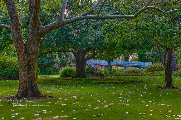 2026_02_24_6095_HDR