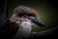 2026_02_25_6221-2