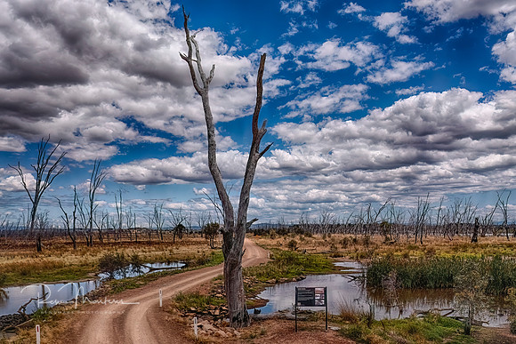DJI_0005_HDR_stitch