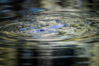2026_03_23_0356