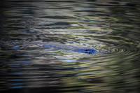 2026_03_23_0384