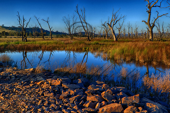 DSC_5591_HDR