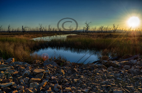 DSC_5642_HDR