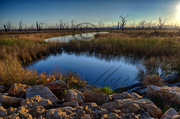 DSC_5606_HDR