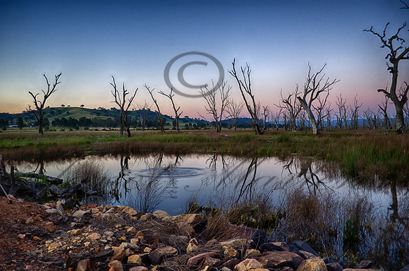 DSC_5762_HDR