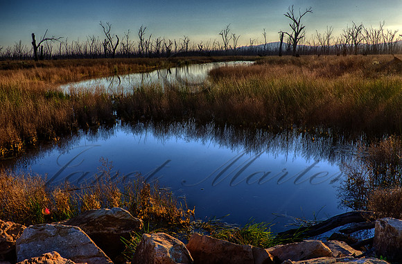 DSC_5600_HDR