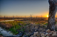DSC_5654_HDR