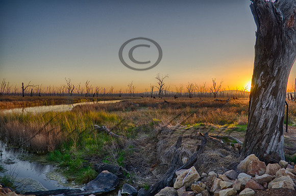 DSC_5654_HDR