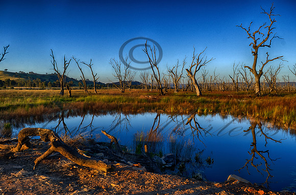 DSC_5633_HDR