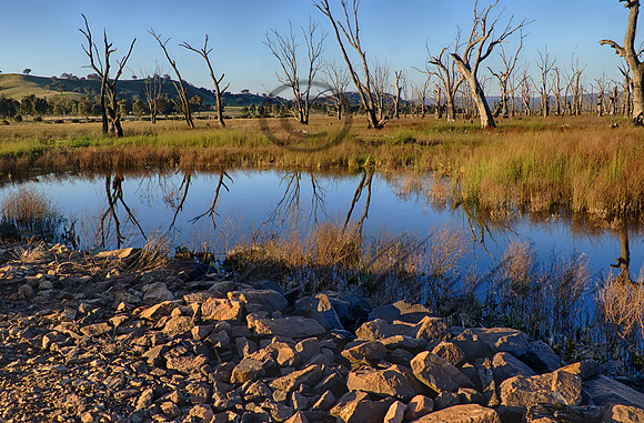 DSC_5588_HDR
