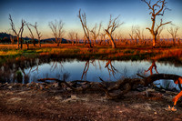 DSC_5651_HDR