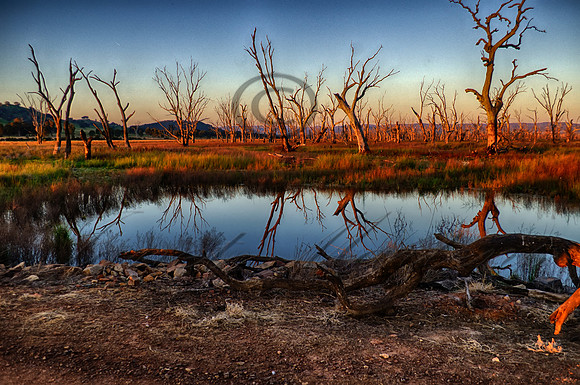 DSC_5651_HDR