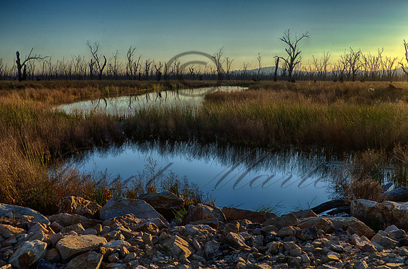DSC_5645_HDR