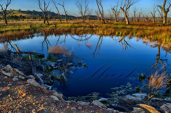DSC_5621_HDR