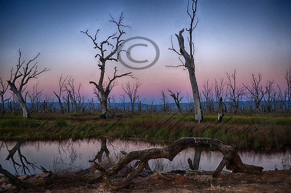 DSC_5756_HDR