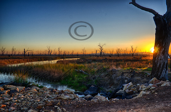 DSC_5660_HDR