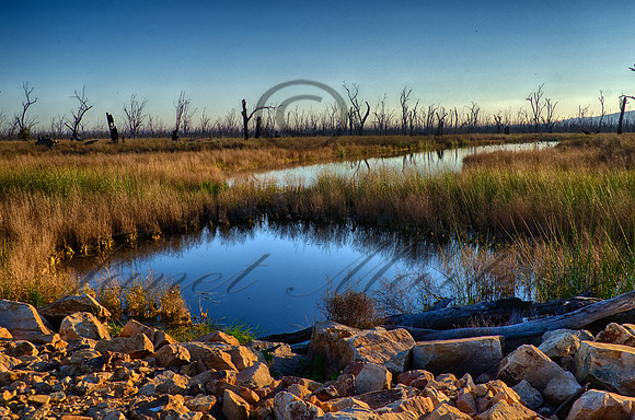 DSC_5597_HDR