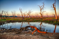 DSC_5681_HDR