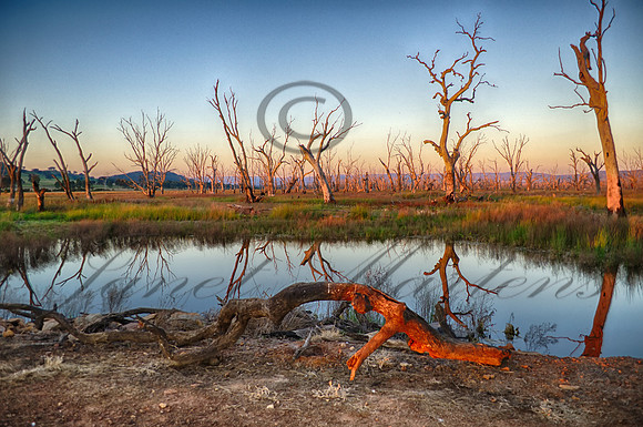 DSC_5681_HDR