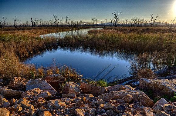 DSC_5603_HDR