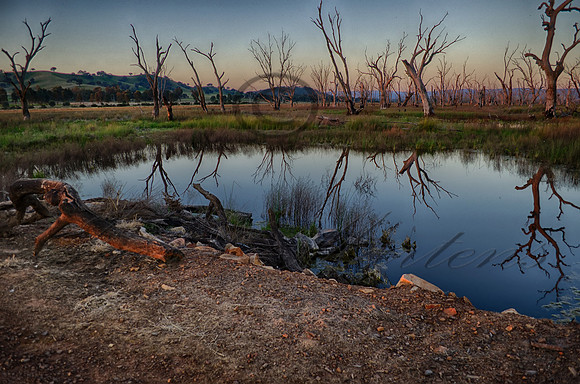 DSC_5699_HDR