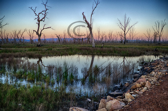 DSC_5717_HDR