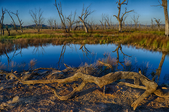 DSC_5618_HDR