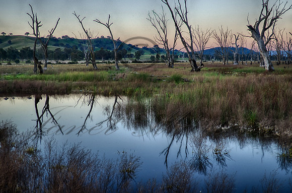 DSC_5726_HDR