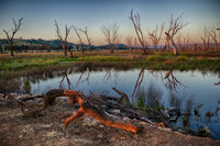DSC_5693_HDR
